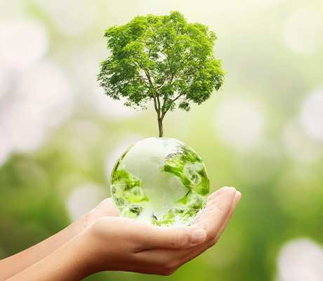 Eco-Friendly Packaging - Recyclable and Reusable