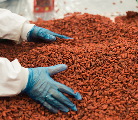 Quality Control Testing - Consistent Premium Quality